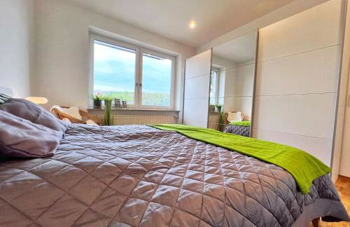 4-Sterne Ferienwohnung Waldblick Schweinfurt - Foto 6