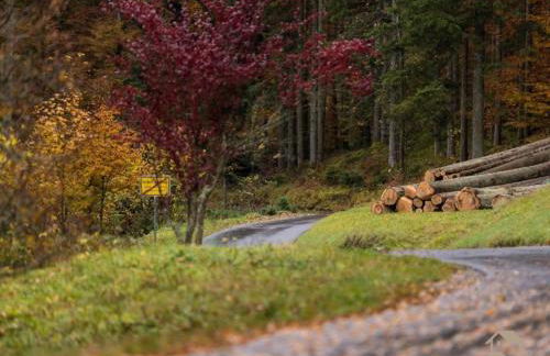 Ferienwohnung Marianne in Neuweiler - Foto 63