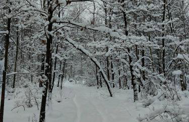 2R Relax Resort - Foto 26