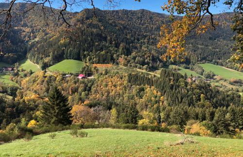 2 Zimmer Wohnung, mit Sonnenterasse - Foto 28