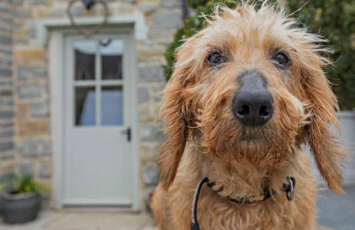 1 Bed in Langport oc-41489 - Foto 10