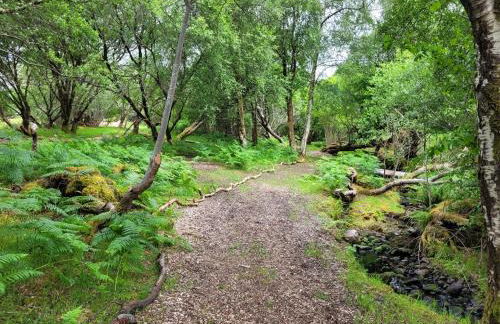 Sound of Durnamuck - Foto 106