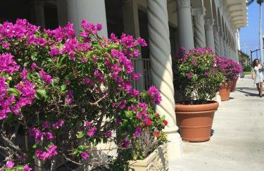 Hemingway Suites at Palm Beach Hotel Island - Photo 49