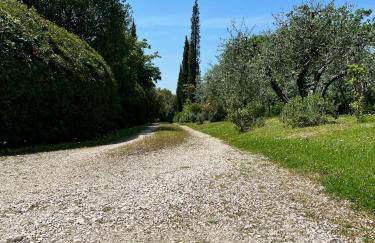 Villa Elena Tuscany - Pool & Garden Arezzo - IHH - Foto 43