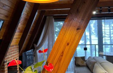 Cabanas da Mata Com Vista para as Montanhas na Serra Gaúcha - Foto 48