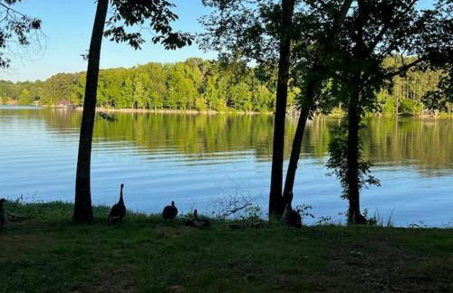 Cottage on Cypress Bay near Paris Landing State Park - Foto 18