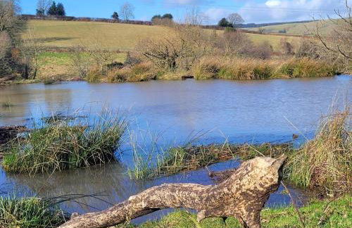 Cornflour Cozy Cabin Retreat - Foto 3