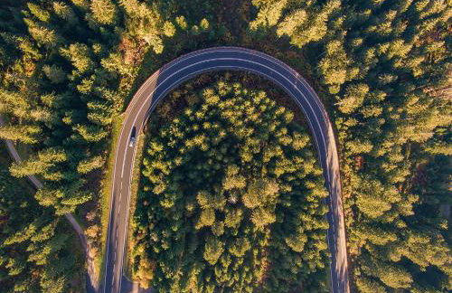 SK Ferienapartments Kappelrodeck - Foto 24