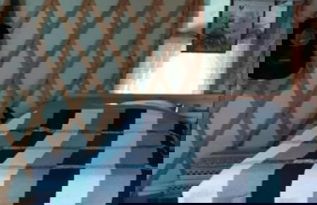 Yurt Located in a Little oak Grove - Foto 7