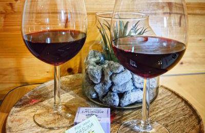 Studio Manora Sucuraj - Foto 17