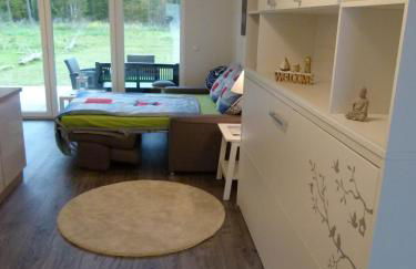 Ostsee-Wiesenpieper (Graal-Müritz) - Foto 21