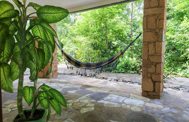 Pousada Canto no Bosque - Foto 27