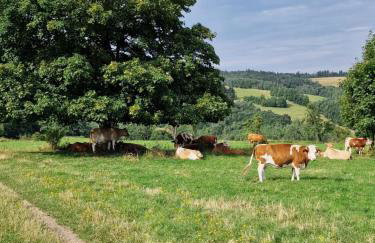 Nad Strumieniem - Foto 33