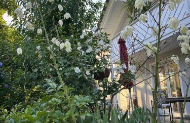 Apartment Waldblick - Entspannung auf dem Land - Foto 43