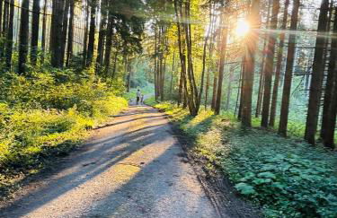 Haus Steiner - Ruhige, top bewertete Ferienwohnung in Lauterbach - Schwarzwald - Foto 54