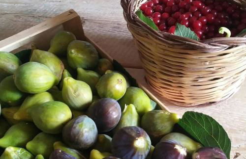 Masseria Celano - Foto 55