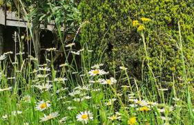 Valle Intelvi - Como Lake - Foto 21