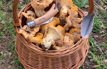 Apimonte Casa do Serra - PN Montesinho - Foto 79