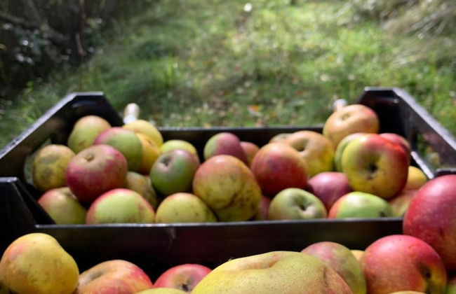 Agroturismo Urresti - Foto 33