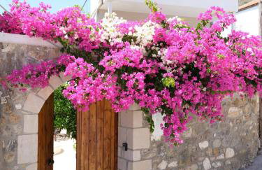 Casa Sofia, By Hellocrete - Foto 9