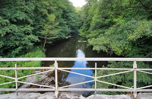 Ferienwohnungen im Harz - Foto 10