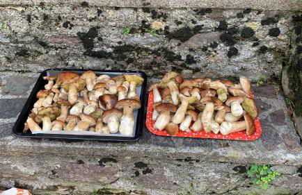 Casa Vacanze La Vite - Foto 44