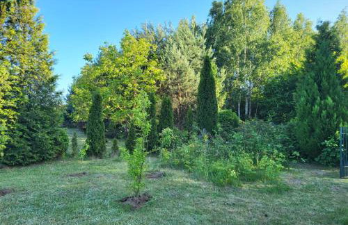 Domek nad Wkrą, okolice Sochocina, kajaki - Foto 32