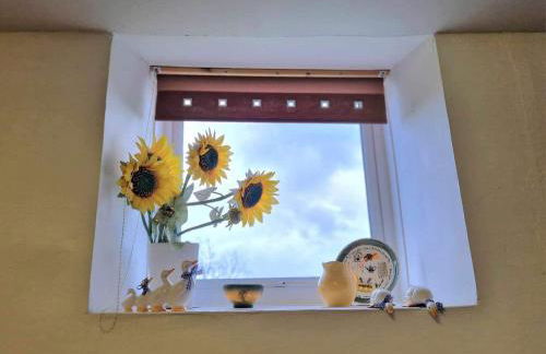 Swn y nant Barmouth road A496 Llanelltyd - Foto 7