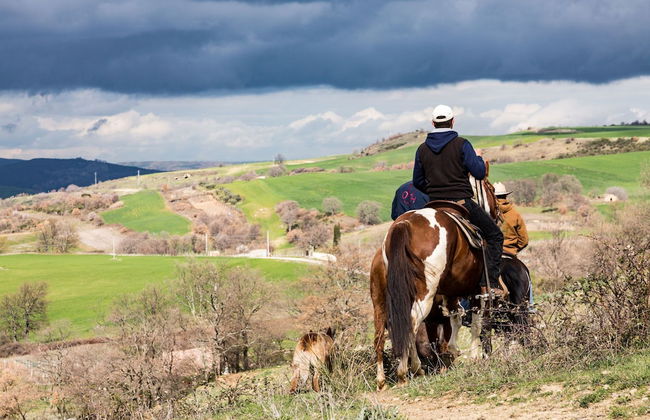 Masseria Straziuso - La Vaccariccia - Photo 18
