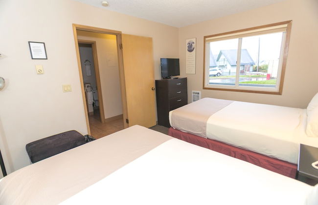 The Grey Gull - Foto 38