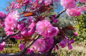 Dietro L'angolo - Foto 5