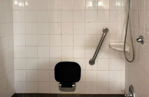 Charming 1-bedroom Basement Close to DC Pets Allowed - Photo 12