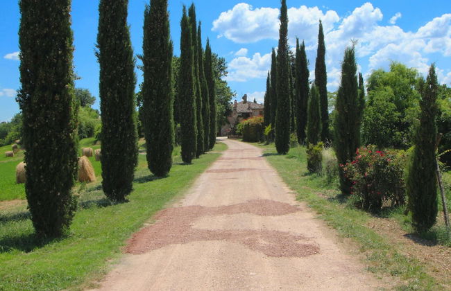 Elysian Escape - A Paradise - Foto 47