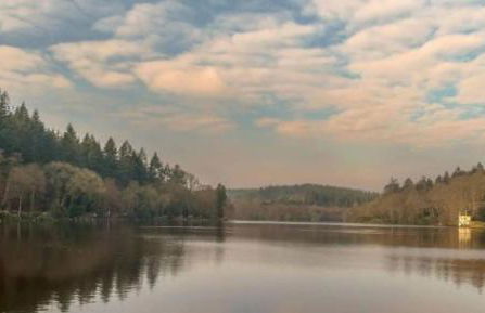 The Old Stable - Foto 11