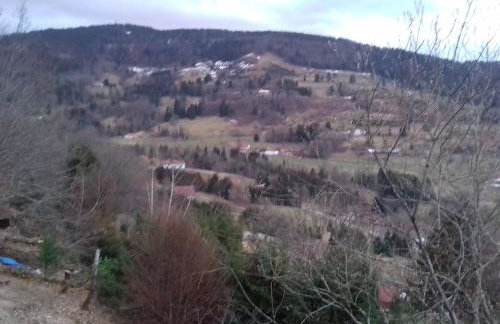 Chalet 3 étoiles avec sauna près de La Bresse - FR-1-589-18 - Foto 7