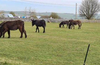 Greystones nawab 2 units b and c sleeps upto 12, in buxton in peak park - Foto 7