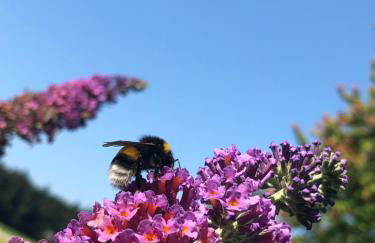 Ferienwohnungen Familie Sappl - Foto 24