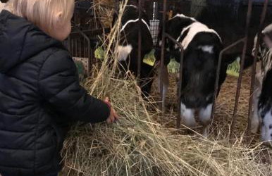 Ferienwohnung Sander - Foto 27