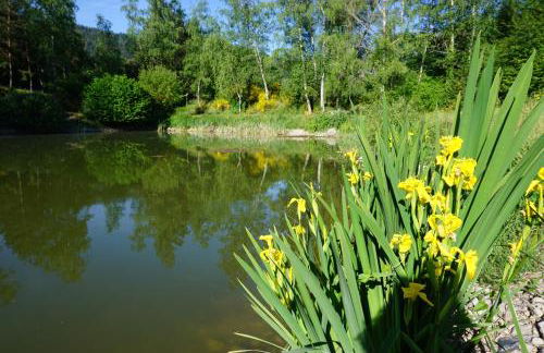 Le gîte et l'étang de pêche - Foto 24