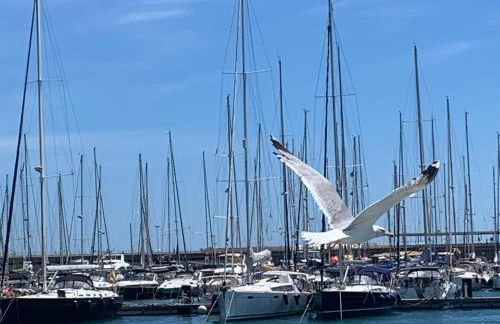 Master&Commander - Foto 13