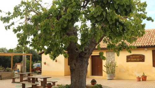 Al Grande Gelso - Photo 2