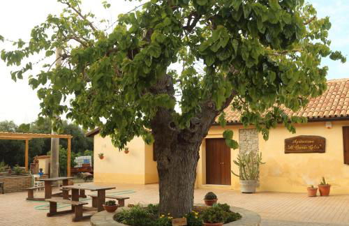 Al Grande Gelso - Foto 2