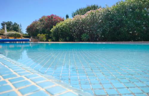 Apartamentos Turísticos Buganvilia - Foto 14