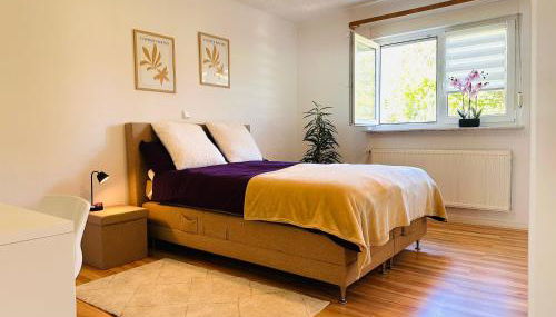 FinkenBlick I Wohnung in Illingen Saar I für kleine Familien I Paare mit Hund und Monteure - Foto 3