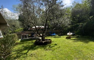 Oasi degli ulivi con piscina privata tra Versilia e Cinque Terre - Foto 22