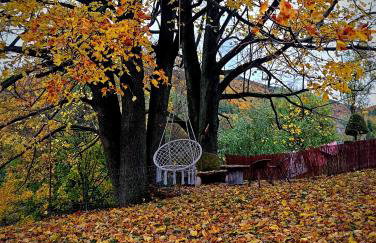 Domki pod lipą - Foto 17