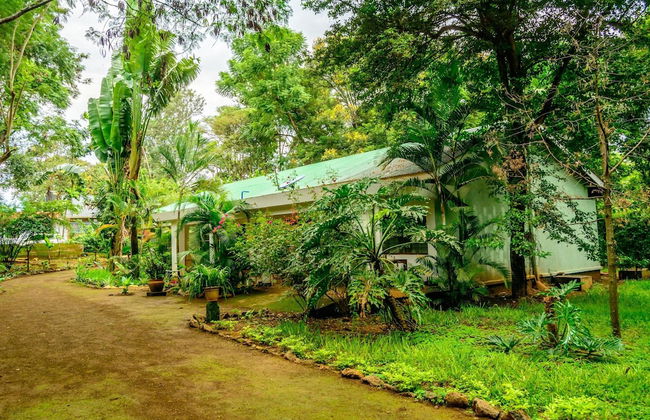 Wendy Luxury Homes - Foto 39