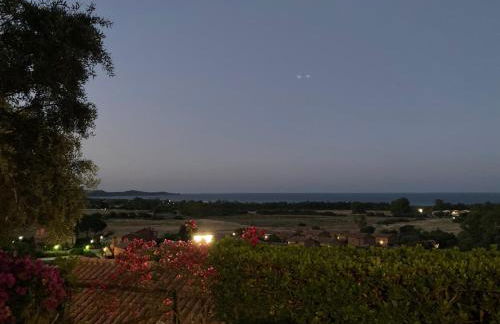 Villa Michela - Photo 9