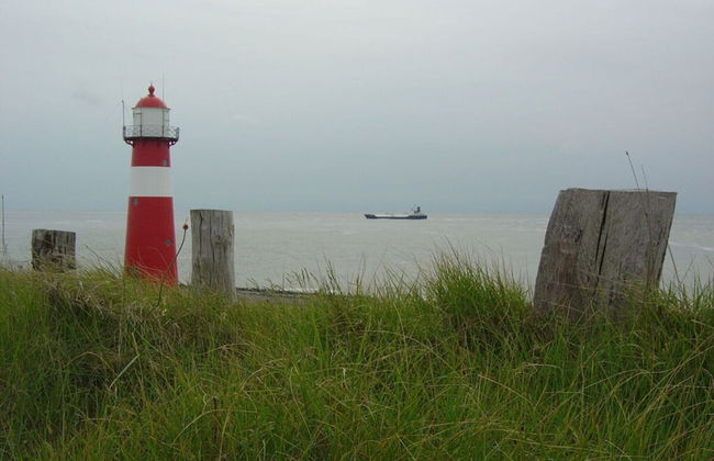 Schelphoekje Modern Retreat - Photo 14