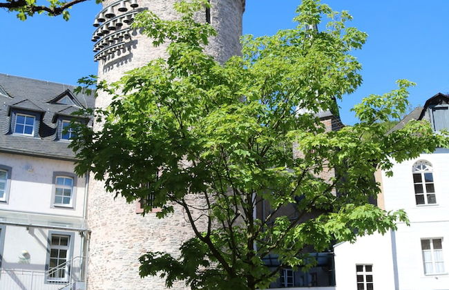 Alte Schmiede zu Trarbach - Foto 57